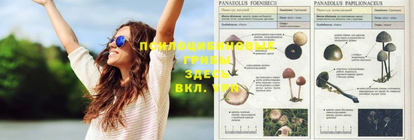 меф Аркадак