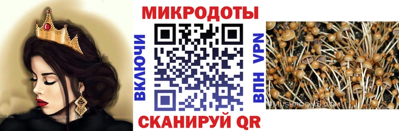 Купить закладки  Железноводск  Псилоцибиновые грибы Psilocybe 